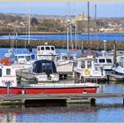 Amble marina 4