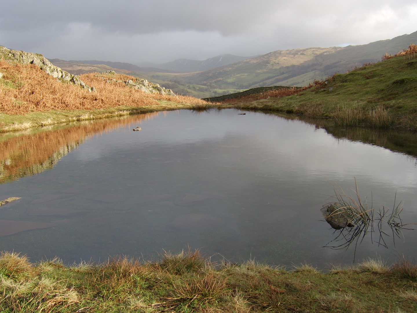 Ambleside Tarn