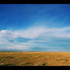 Amboseli