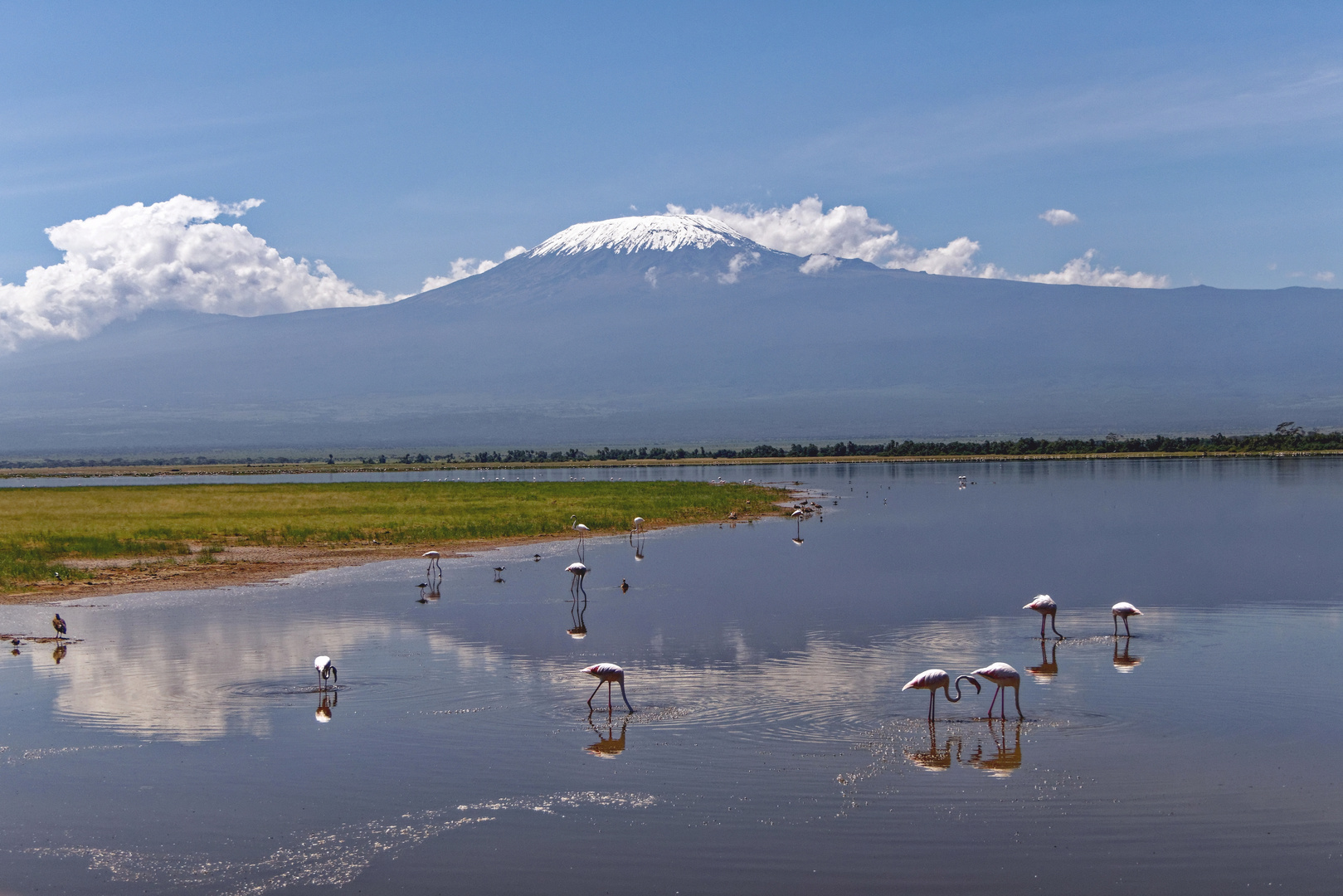 Amboseli