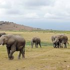 Amboseli