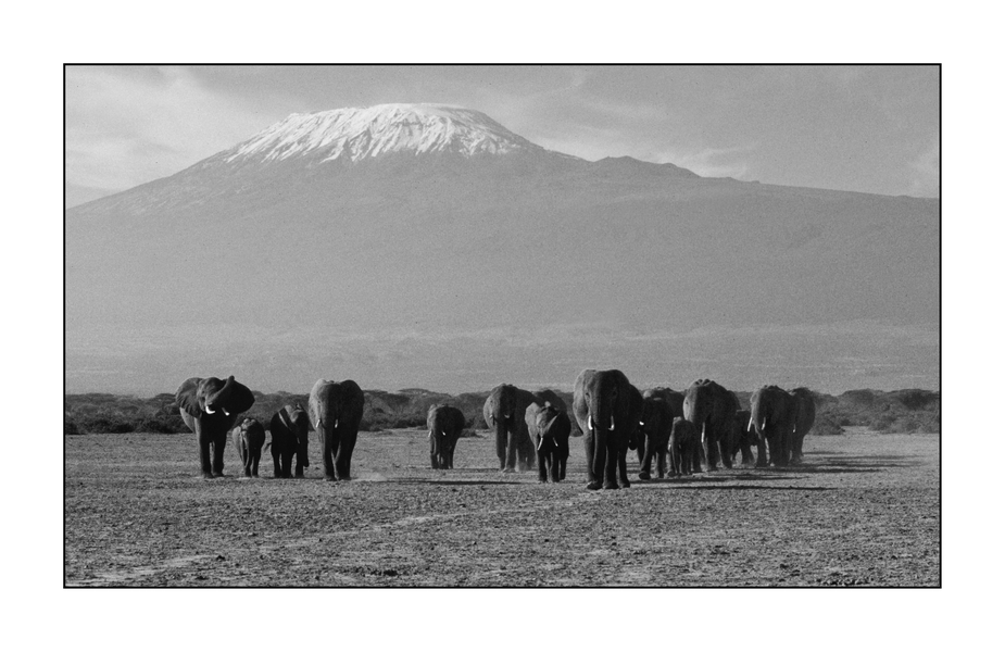 Amboseli