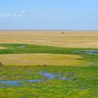 Amboseli / Kenia