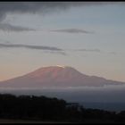 Amboseli Nationalpark, Blick auf den Kilimandscharo