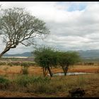 Amboseli Nationalpark