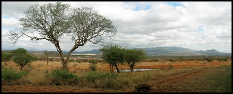 Amboseli Nationalpark