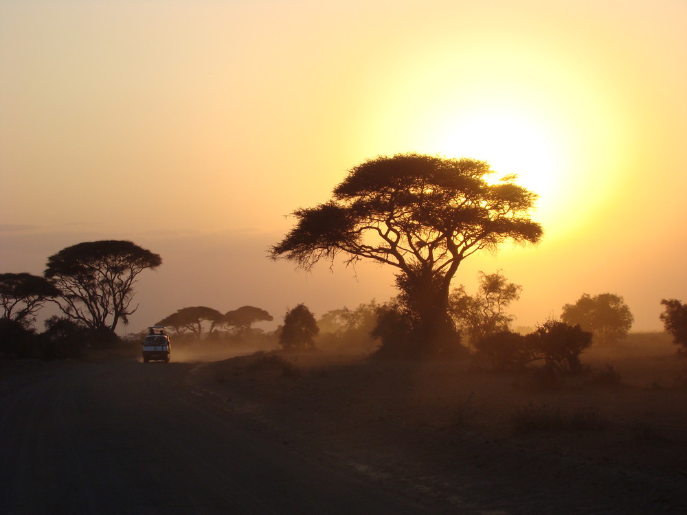 Amboseli Nationalpark Sunset