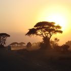 Amboseli Nationalpark Sunset