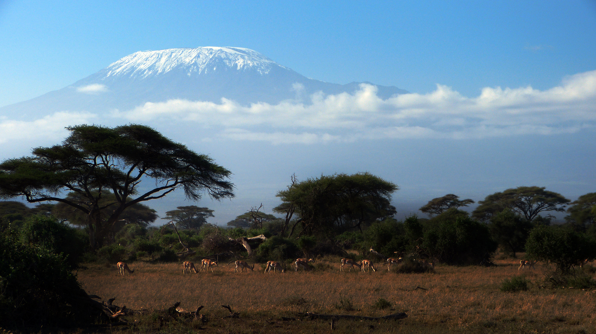 Amboseli NP and Kili