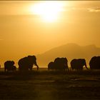 Amboseli Sunset