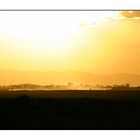 Amboselli Sunset