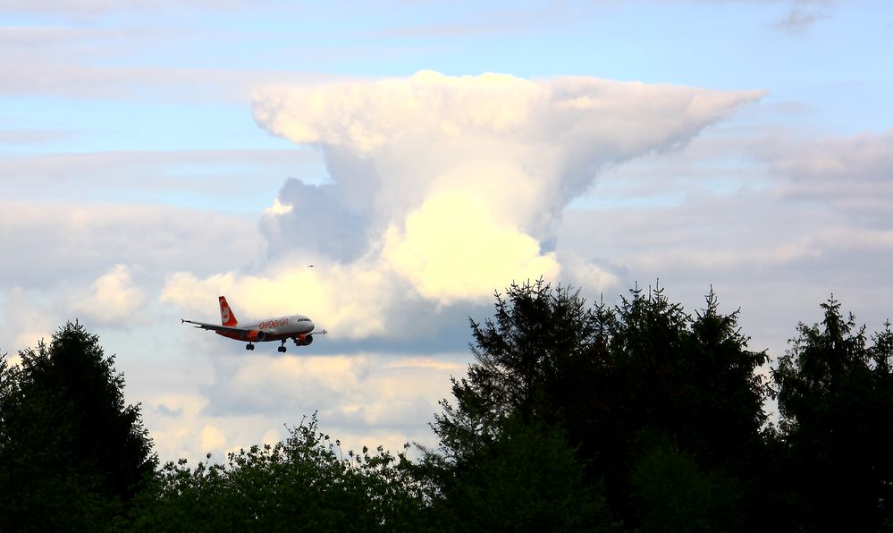 Amboss mit AirBerlin