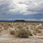 Amboy crater