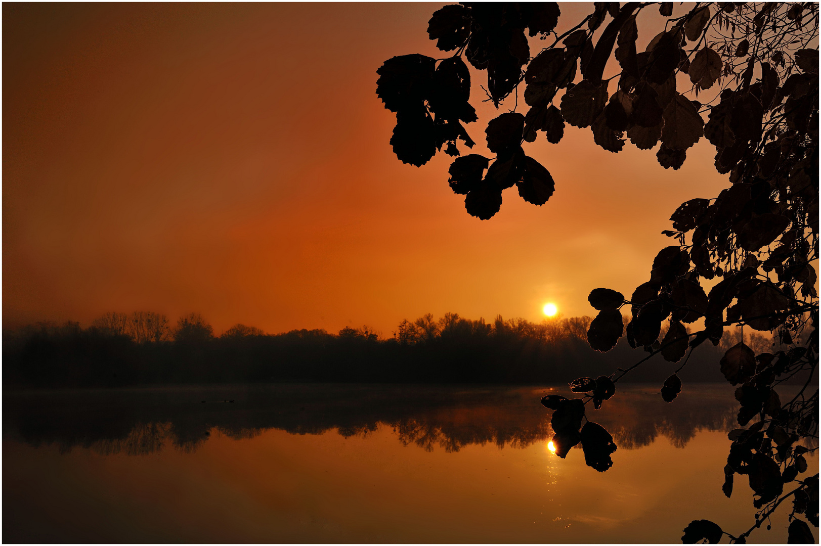 Ambre lumineuse...