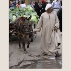 Ambulanter Kohlhändler in Kairo