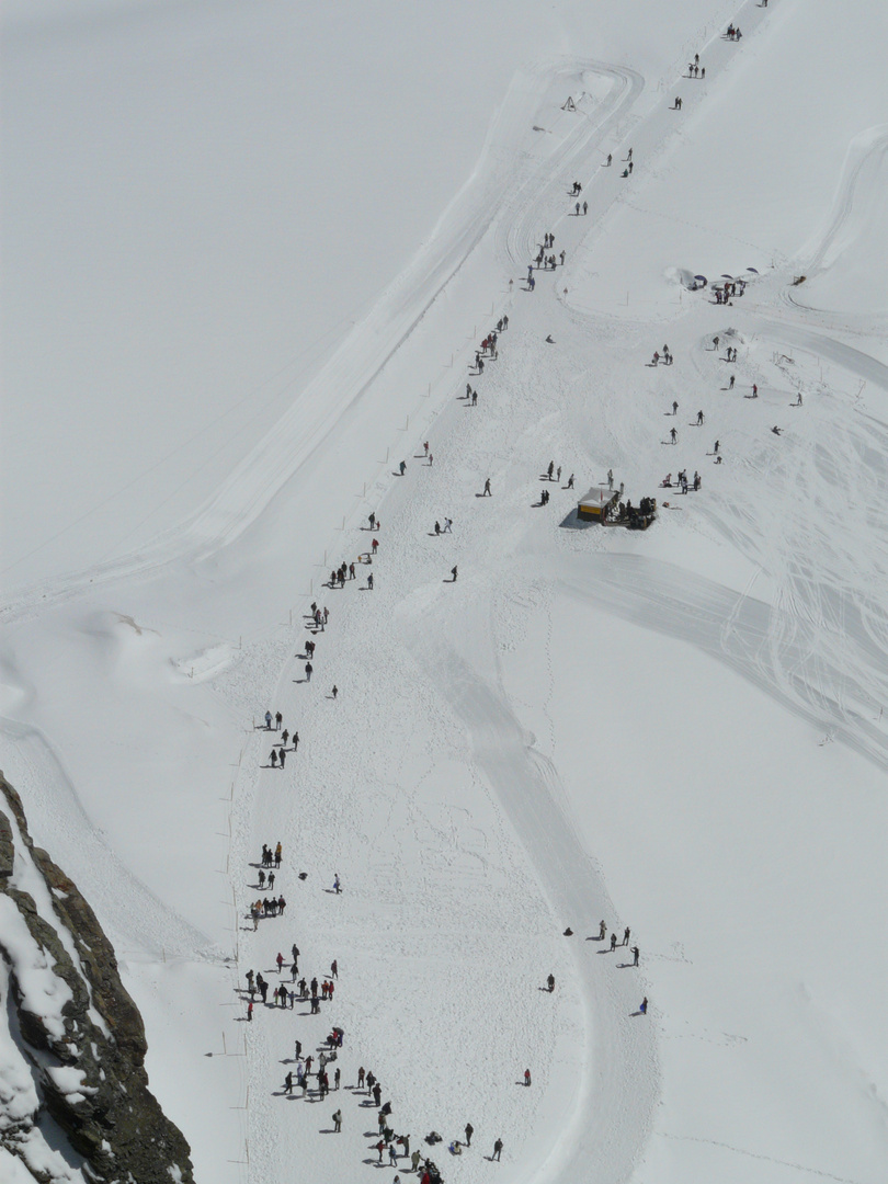 "Ameisen" am Jungfraujoch , Beginn des Aletschgletschers