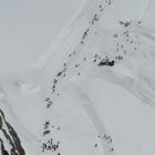 "Ameisen" am Jungfraujoch , Beginn des Aletschgletschers