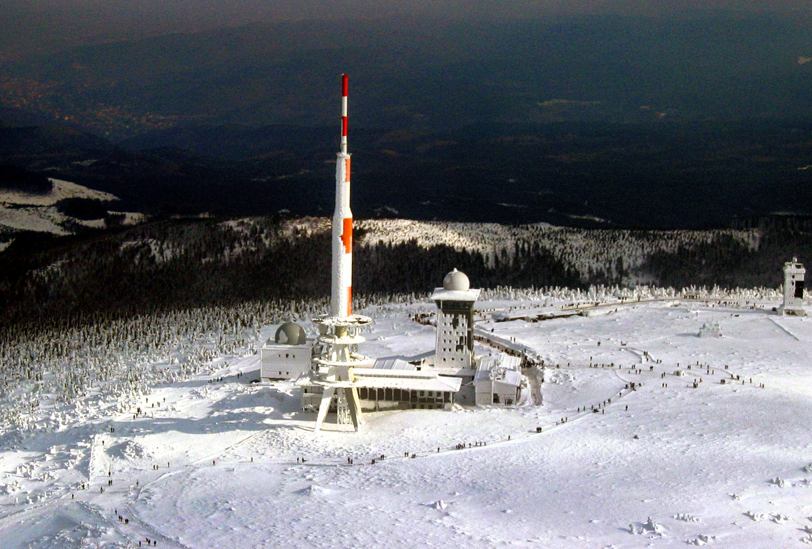 Ameisen auf dem Brocken