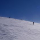 Ameisen auf dem Rücken des Eisbär(g)s