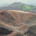 Ameisen on Etna?