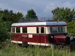 Ameisenbär auf Großer Fahrt.