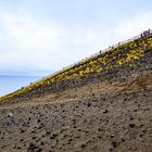 "Ameisen"wanderung