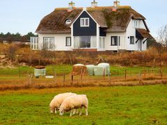 Ameland