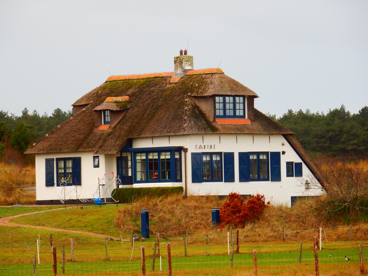 Ameland