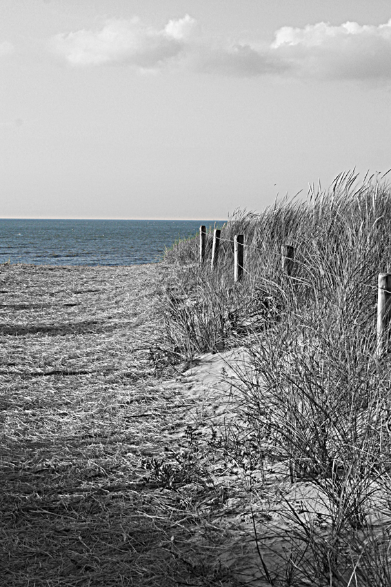 ameland 2007