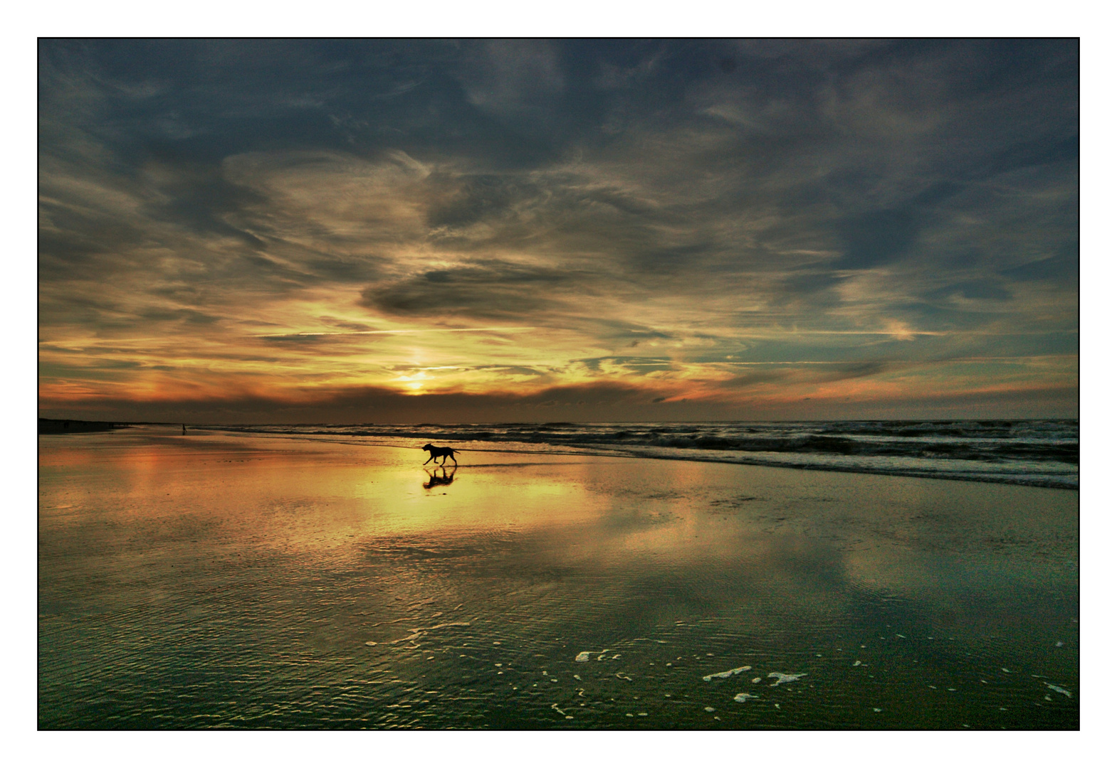 Ameland 2010