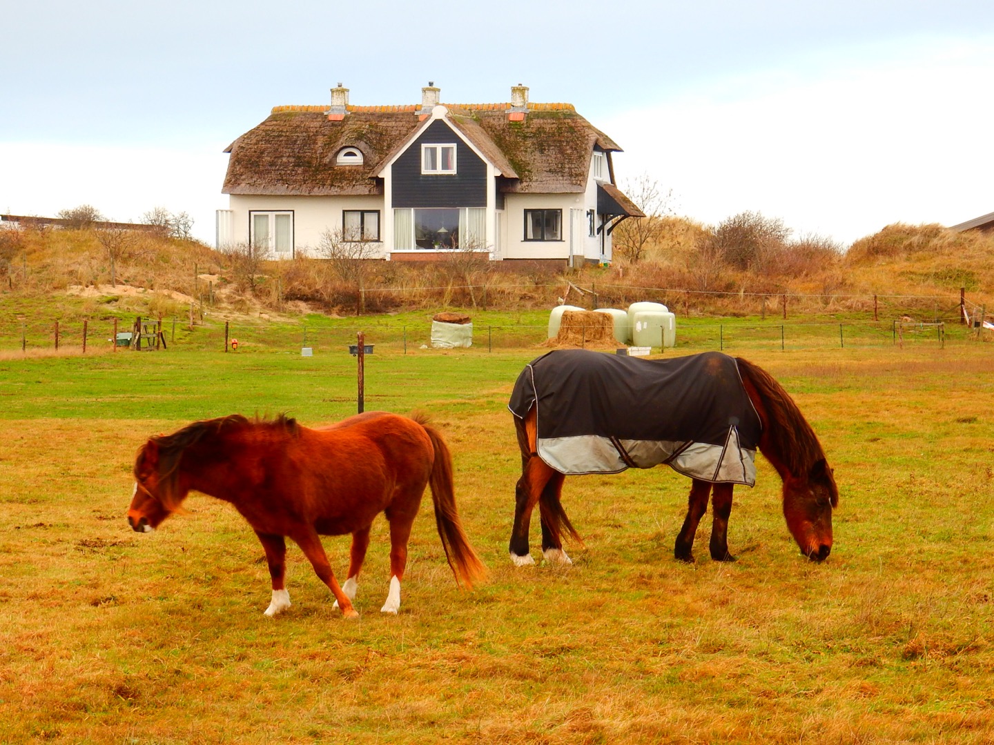 Ameland