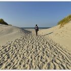 Ameland 3