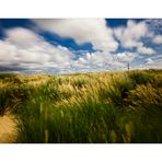 Ameland - 30 sec in den Dünen