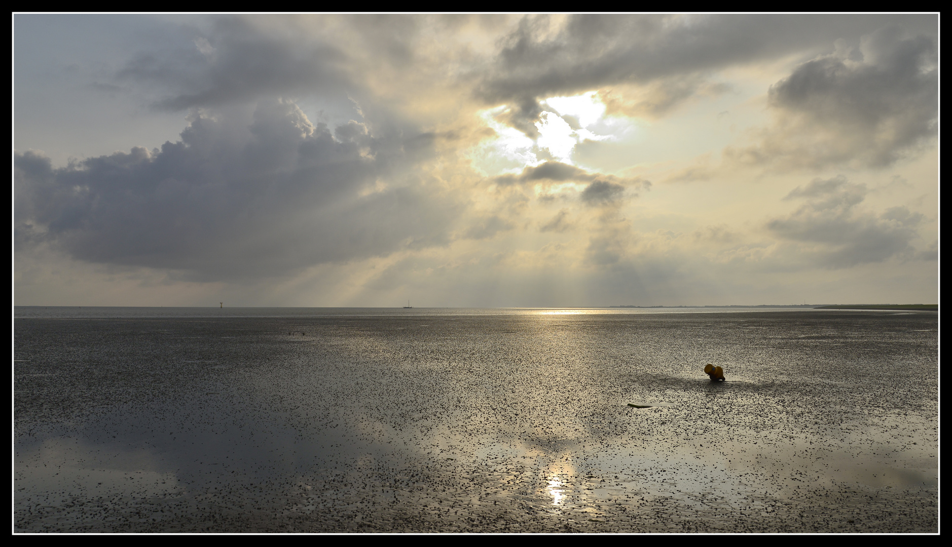 Ameland 5