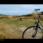 Ameland