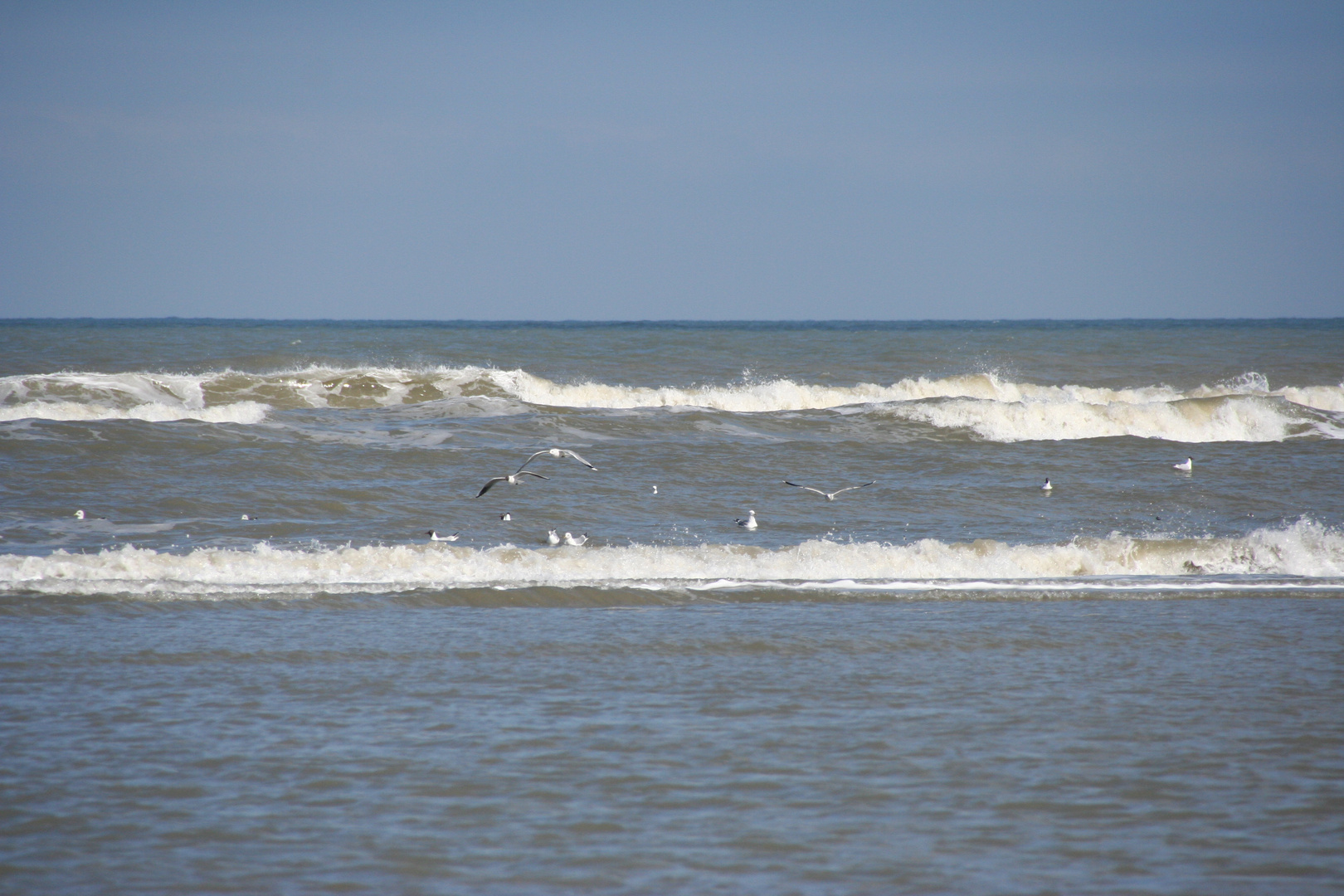 Ameland