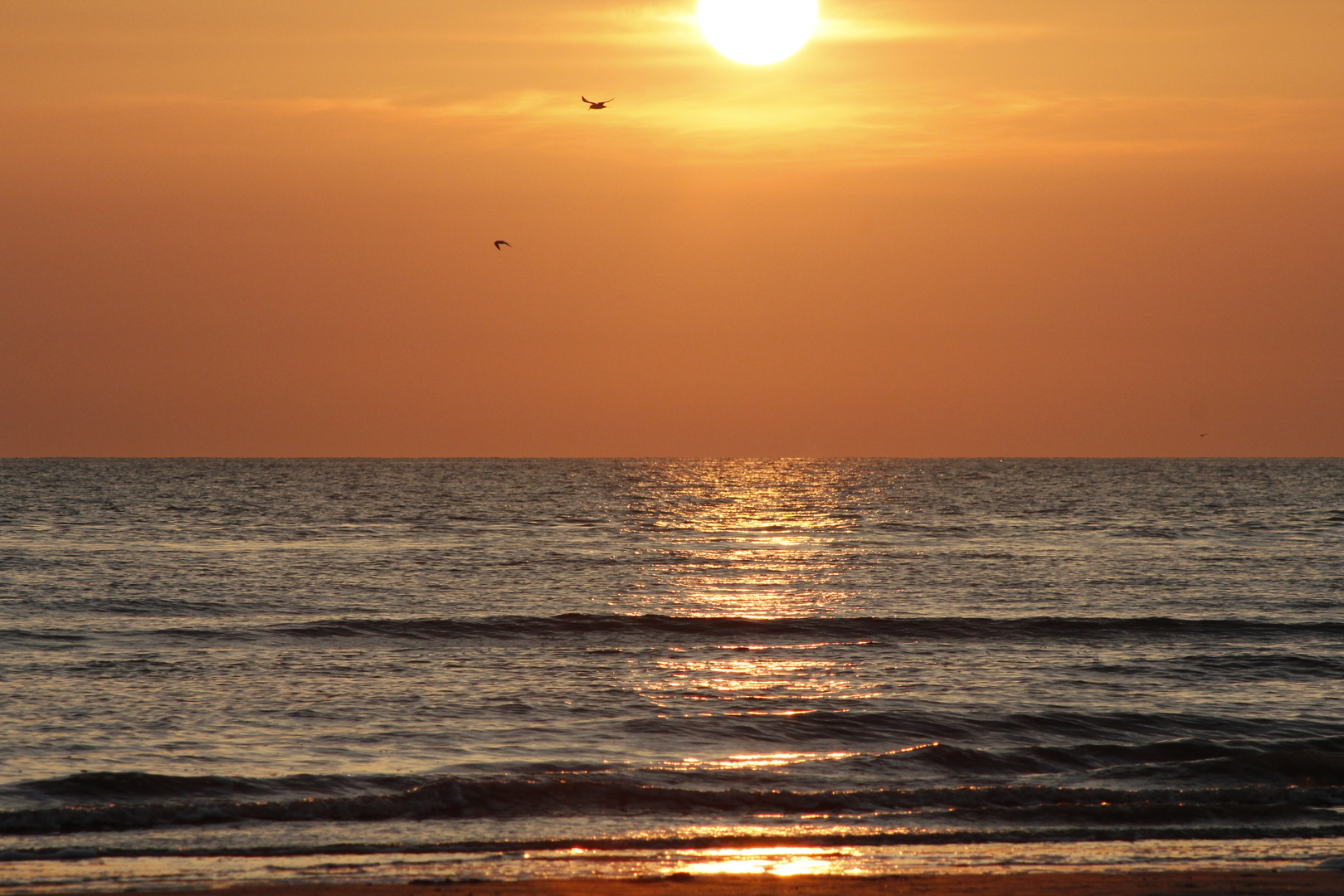 Ameland