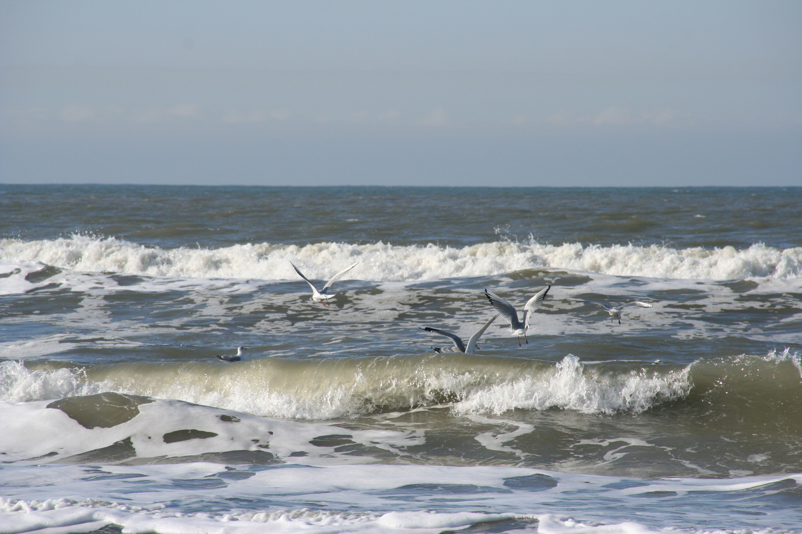 Ameland