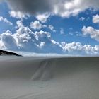 Ameland auf dem Bauch