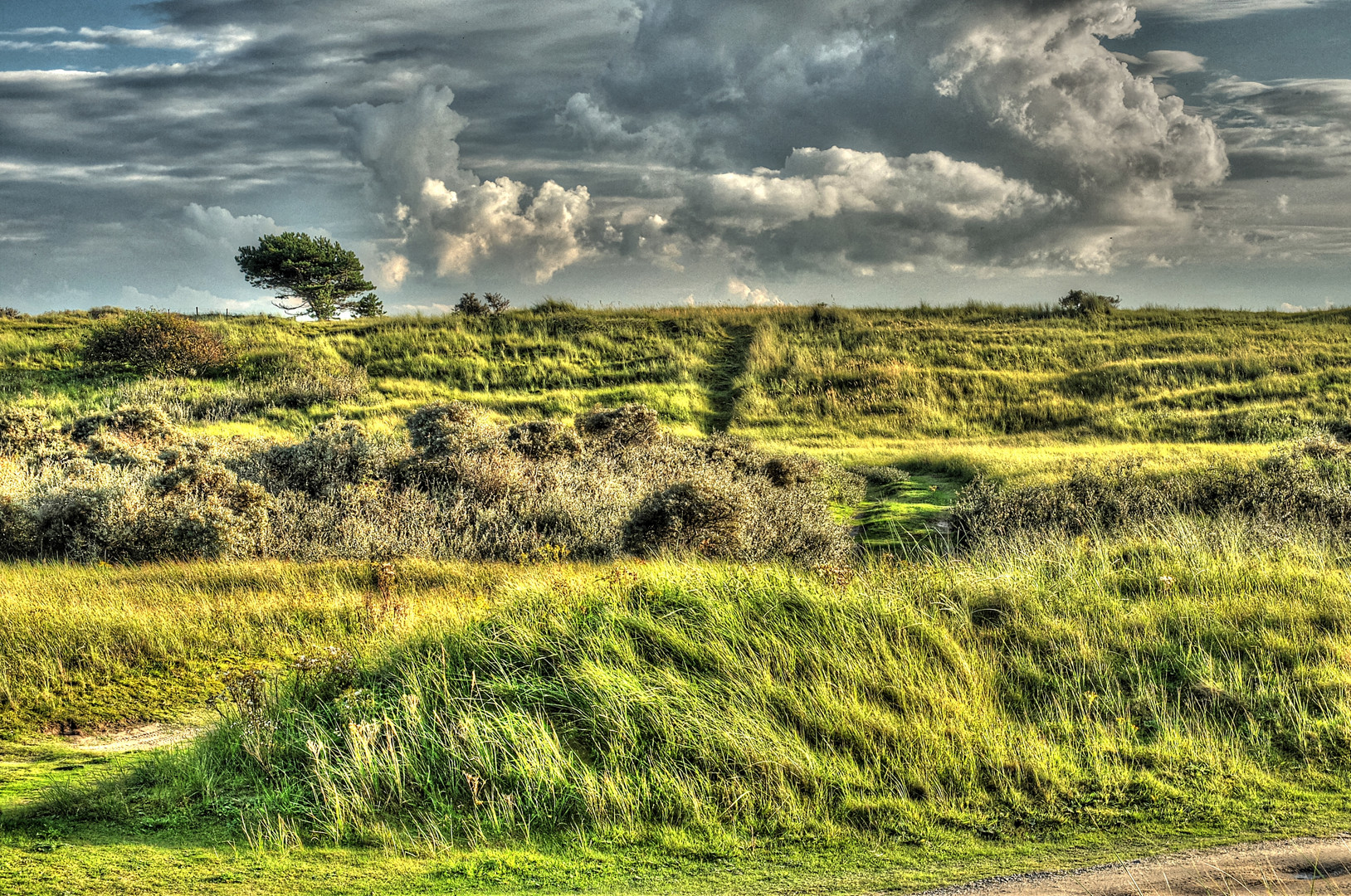 Ameland - Fietspad Richtung de Hon