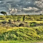 Ameland - Fietspad Richtung de Hon