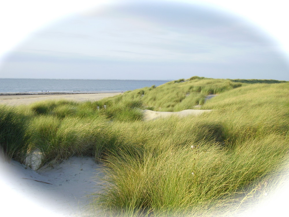 Ameland II