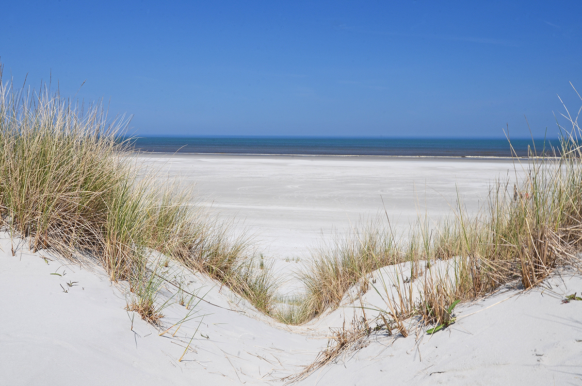 Ameland im Frühjahr