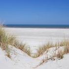 Ameland im Frühjahr