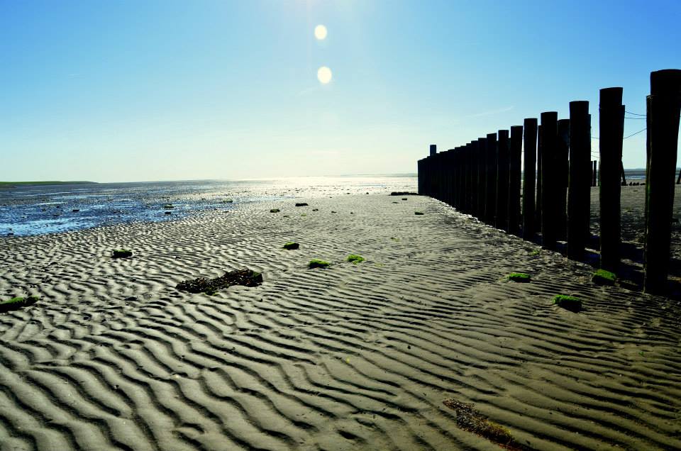 Ameland - Nordsee