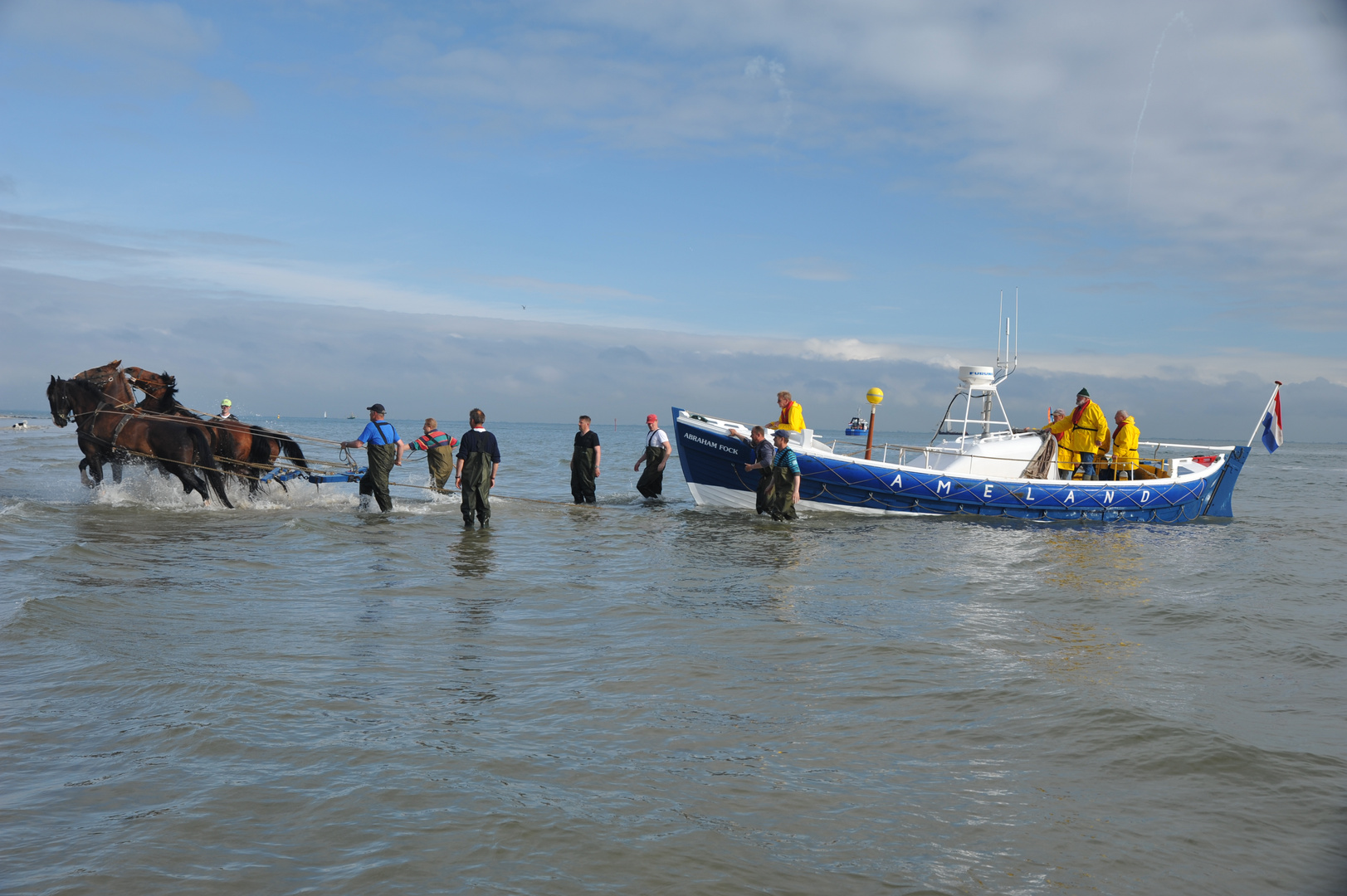 Ameland Rettungsübung mit Boot & Pferd