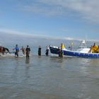 Ameland Rettungsübung mit Boot & Pferd