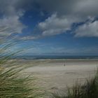 Ameland Strand VII