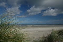 Ameland Strand VII