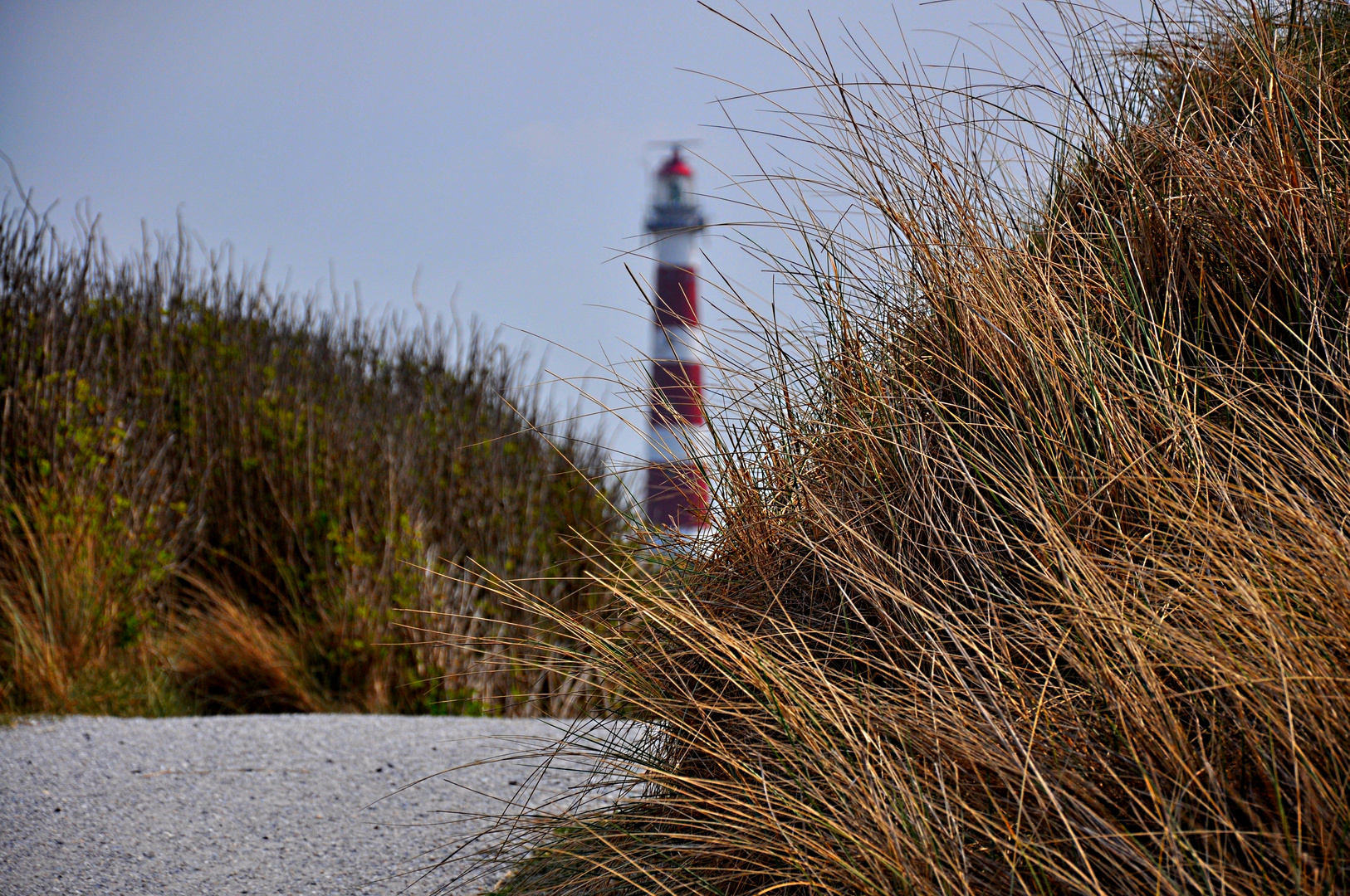 Ameland - Vuurtoren